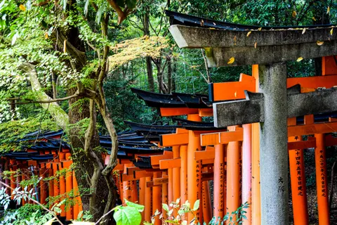 Hình nền Kyoto 4K · travel · 3840×2560