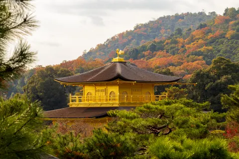 Kyoto 4K Hintergrundbild · travel · 3840×2560