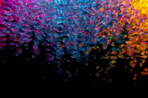 Glowing Jellyfish 4K Wallpaper · underwater · 3840×2560