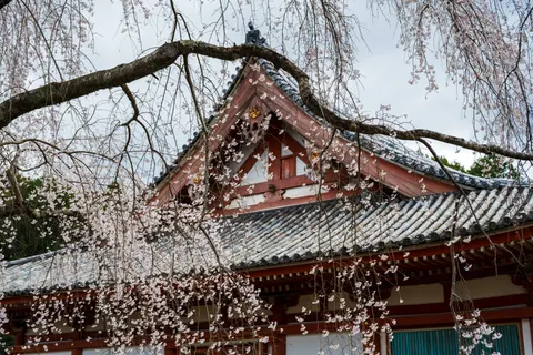 Kyoto 4K Wallpaper · travel · 3840×2560