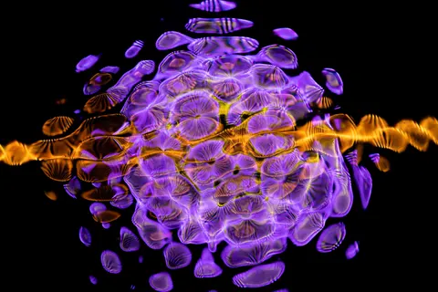Glowing Jellyfish 4K Wallpaper · underwater · 3840×2560
