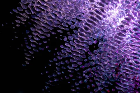 Glowing Jellyfish 4K Wallpaper · underwater · 3840×2560