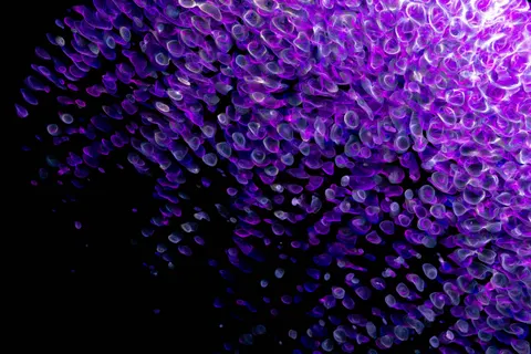 Glowing Jellyfish 4K Wallpaper · underwater · 3840×2560