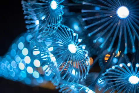 Glowing Jellyfish 4K Wallpaper · underwater · 3840×2563