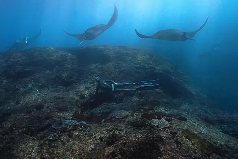 Diver 4K Wallpaper · underwater · 3840×2570