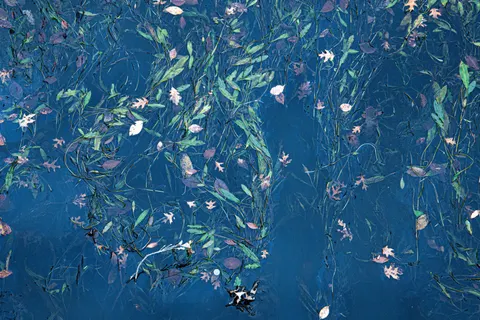 Fond d'écran Plongeur 4K · underwater · 3840×2560