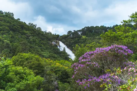 Jungle Waterfall 4K Wallpaper · waterfall · 3840×2560