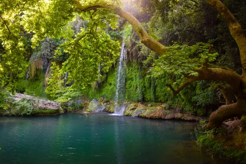 والپیپر آبشار جنگلی با کیفیت 4K · waterfall · 3840×2560