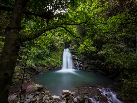 Jungle Waterfall 4K Wallpaper · waterfall · 3840×2869