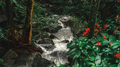 Jungle Waterfall 4K Wallpaper · waterfall · 3840×2161