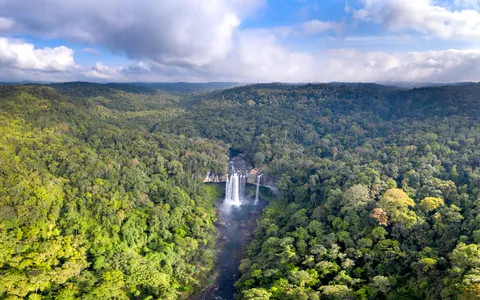 والپیپر آبشار جنگلی با کیفیت 4K · waterfall · 3840×2403
