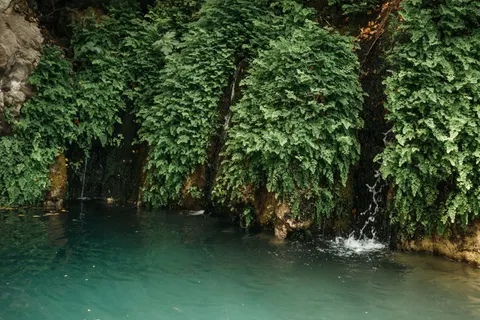 والپیپر آبشار جنگلی با کیفیت 4K · waterfall · 3840×2563