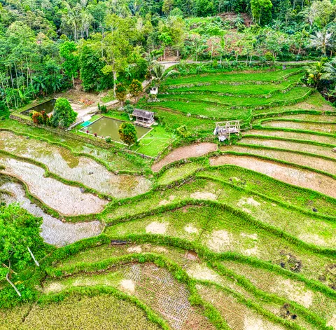 Bali 4K Wallpaper · travel · 3840×3772