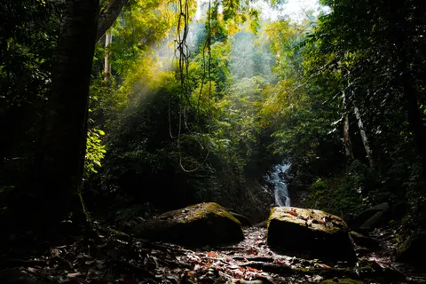 Jungle Waterfall 4K Wallpaper · waterfall · 3840×2560
