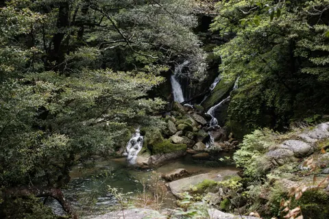 Hình nền Thác Nước Rừng Rậm 4K · waterfall · 3840×2560