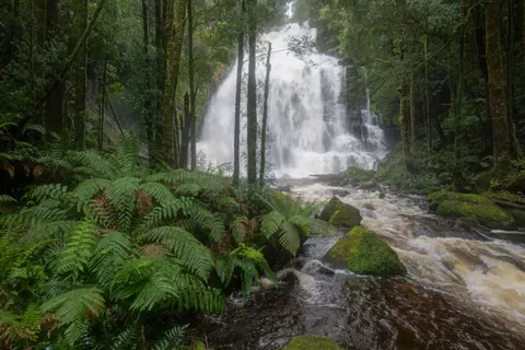 叢林瀑布 4K桌布 · waterfall · 3840×2560