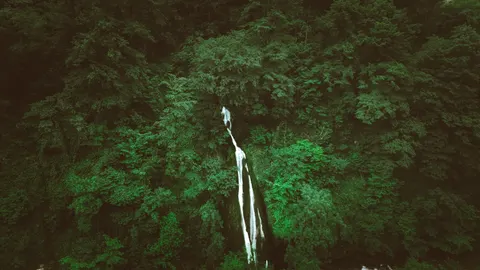 والپیپر آبشار جنگلی با کیفیت 4K · waterfall · 3840×2160
