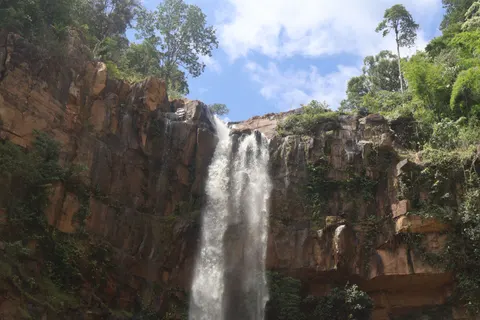 والپیپر آبشار جنگلی با کیفیت 4K · waterfall · 3840×2560