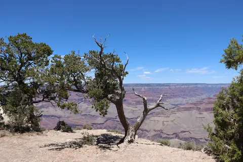 Sfondo Grand Canyon 4K · travel · 3840×2560