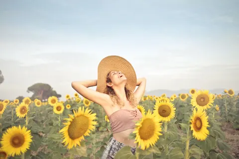 خلفية حقل عباد الشمس بدقة 4K · flowers · 3840×2560