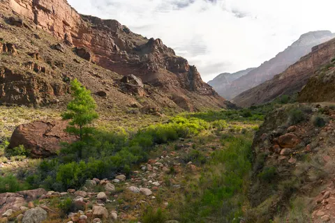 Grand Canyon 4K Wallpaper · travel · 3840×2560