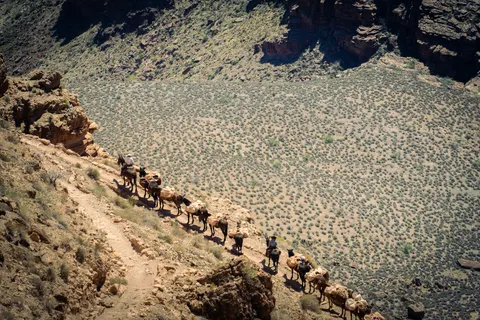 Grand Canyon 4K Hintergrundbild · travel · 3840×2560