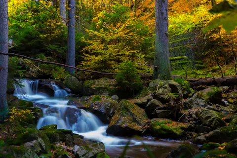 Sfondo Cascata nella Foresta 4K · waterfall · 3840×2560