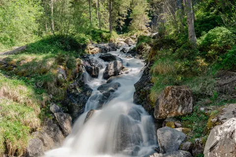 Forest Waterfall 4K Wallpaper · waterfall · 3840×2560