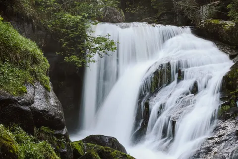 Forest Waterfall 4K Wallpaper · waterfall · 3840×2560