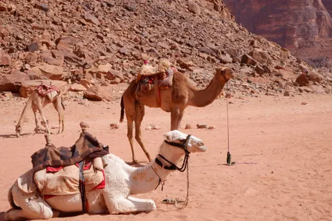 Petra 4K Hintergrundbild · travel · 3840×2560