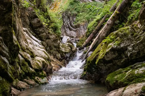 Forest Waterfall 4K Wallpaper · waterfall · 3840×2560