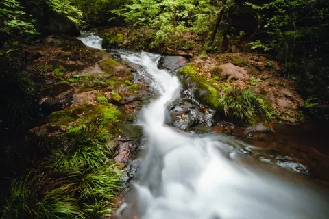 Forest Waterfall 4K Wallpaper · waterfall · 3840×2563