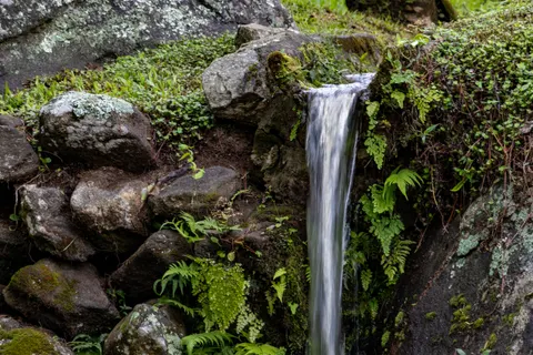 Forest Waterfall 4K Wallpaper · waterfall · 3840×2560