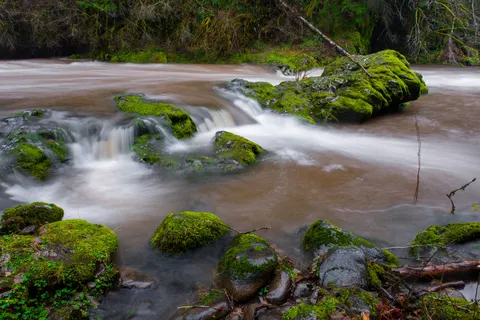 Forest Waterfall 4K Wallpaper · waterfall · 3840×2563
