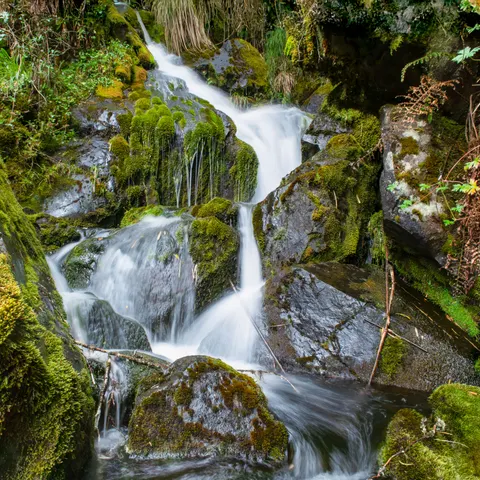 Sfondo Cascata nella Foresta 4K · waterfall · 3840×3840