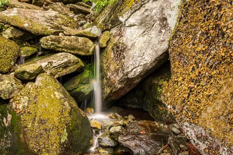 Forest Waterfall 4K Wallpaper · waterfall · 3840×2560