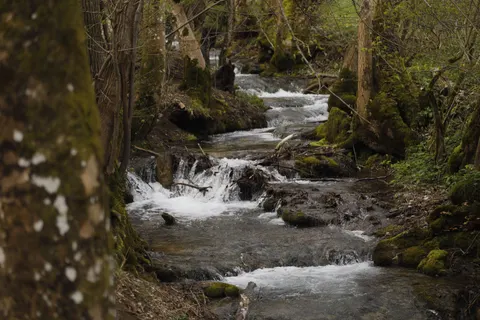 Forest Waterfall 4K Wallpaper · waterfall · 3840×2560