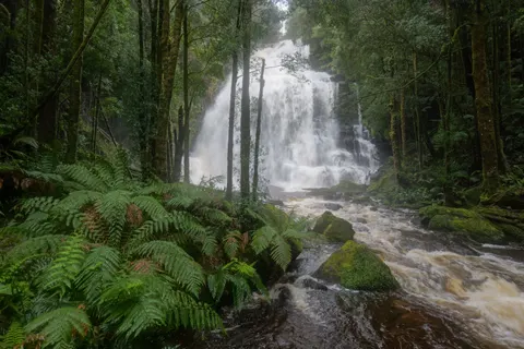 森林瀑布 4K壁纸 · waterfall · 3840×2560