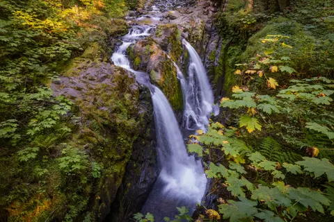 Forest Waterfall 4K Wallpaper · waterfall · 3840×2562