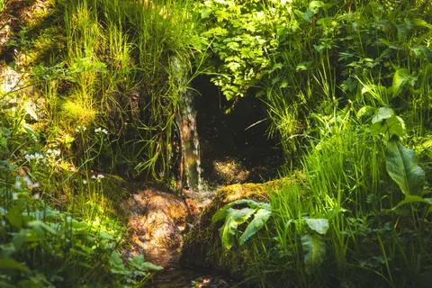 Forest Waterfall 4K Wallpaper · waterfall · 3840×2560