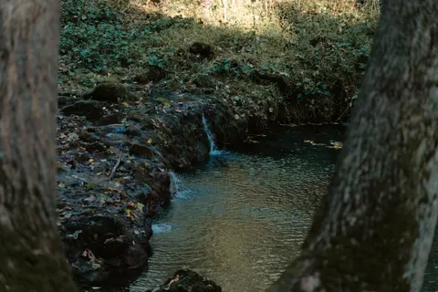Forest Waterfall 4K Wallpaper · waterfall · 3840×2560