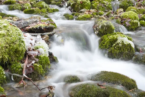 Forest Waterfall 4K Wallpaper · waterfall · 3840×2563