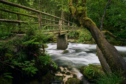 والپیپر آبشار جنگلی با کیفیت 4K · waterfall · 3840×2560