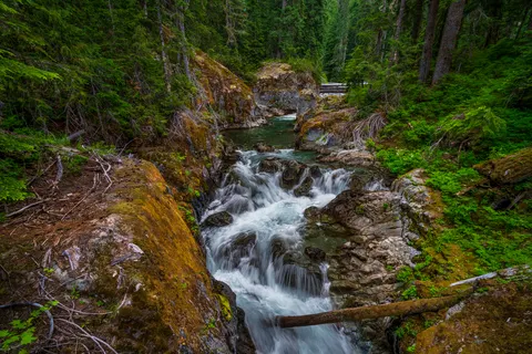 Forest Waterfall 4K Wallpaper · waterfall · 3840×2560