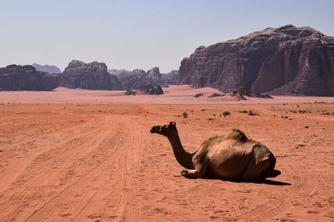 والپیپر پترا با کیفیت 4K · travel · 3840×2560