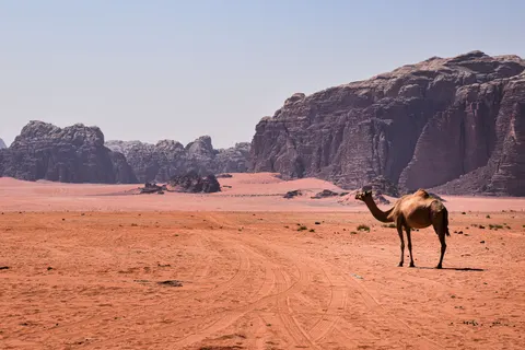 والپیپر پترا با کیفیت 4K · travel · 3840×2560