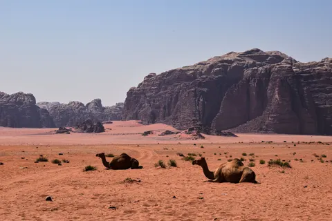 Petra 4K Wallpaper · travel · 3840×2560