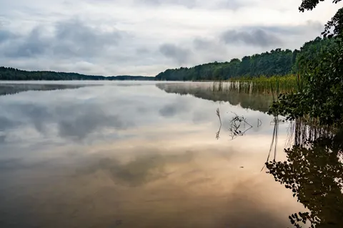 안개 낀 산호수 4K 배경화면 · nature · 3840×2560
