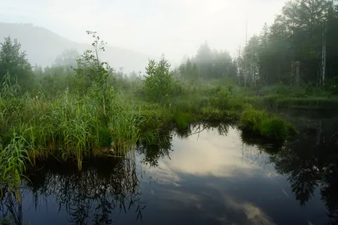 薄雾山湖 4K壁纸 · nature · 3840×2560