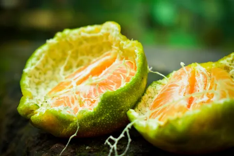 Fresh Fruit 4K Wallpaper · food · 3840×2560